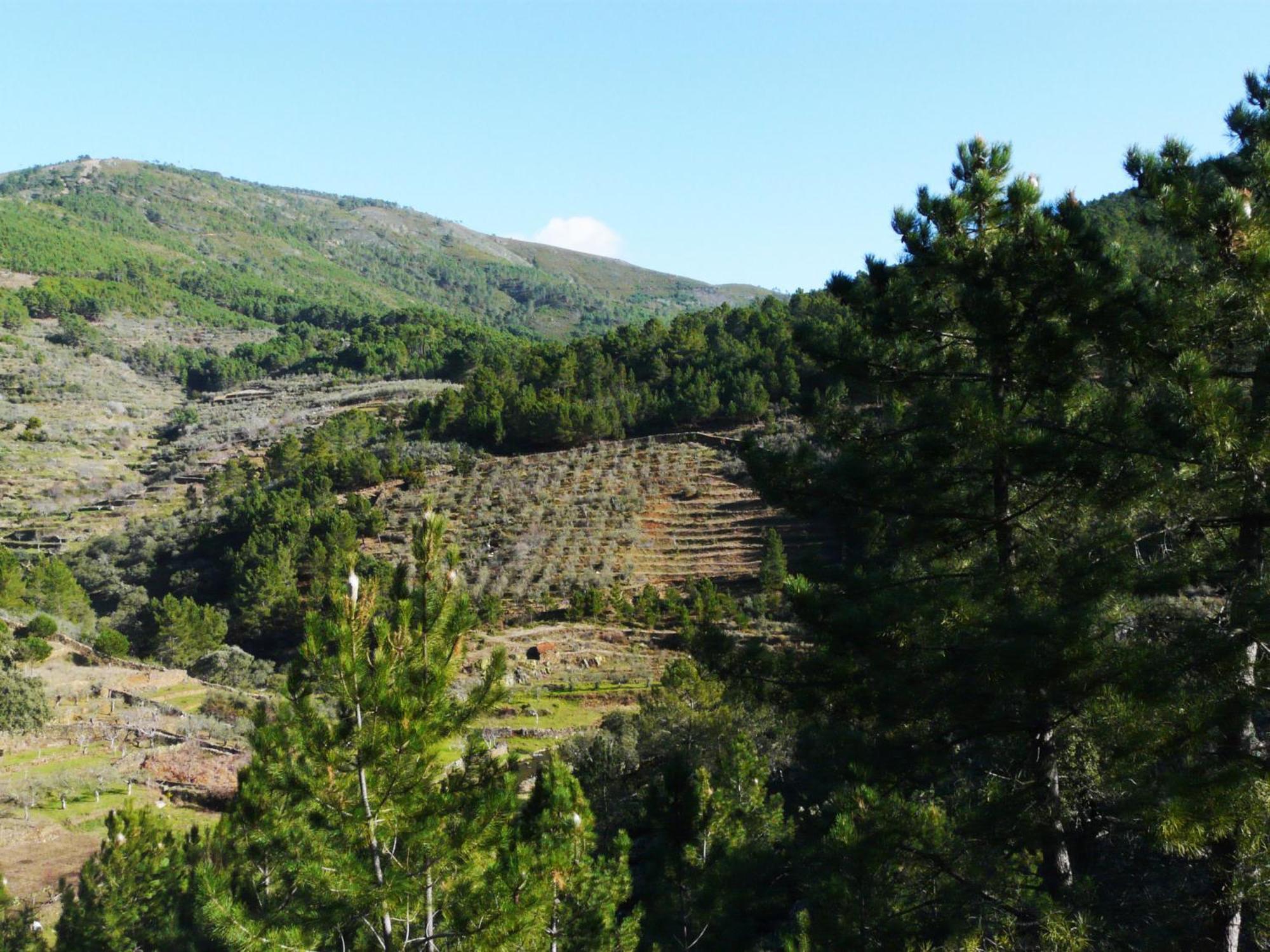 Apartamentos Rurales El Prado Pinofranqueado Kültér fotó